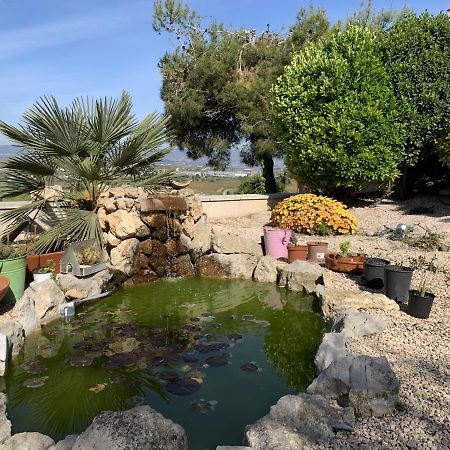 Apartamento Entero Con Vistas Panoramicas Avinyonet del Penedes 외부 사진
